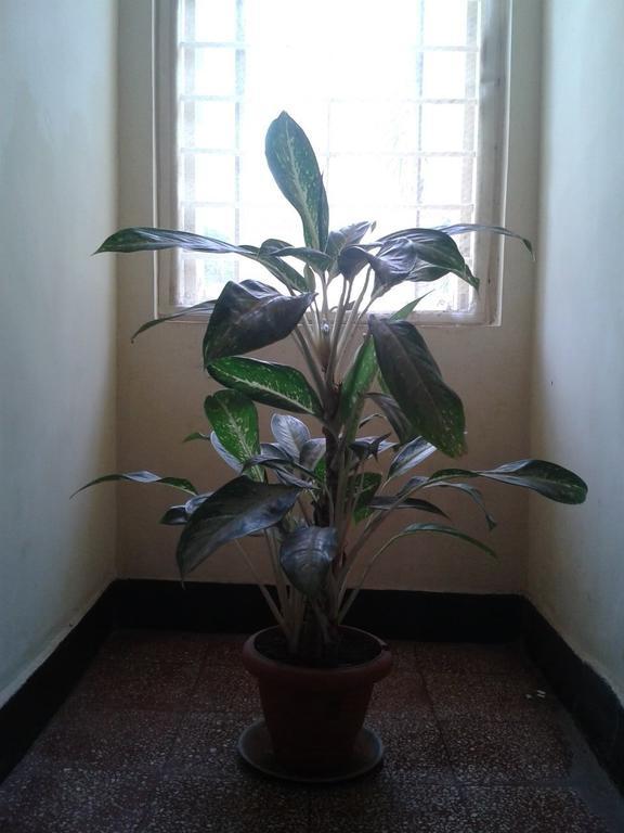 Hotel Ferreira Resort Lonavala Luaran gambar